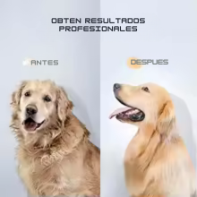 secador y peinador de mascotas 2 en 1.